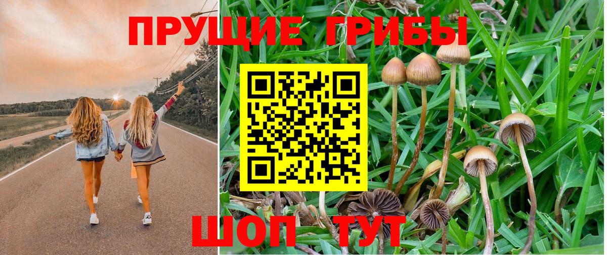 Галлюциногенные грибы Magic Shrooms  Псилоцибиновые грибы Magic Shrooms  Ефремов  Вход с VPN 